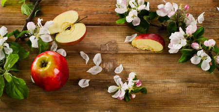 blooming apple twigs and red apples on a  old wooden table. Selective focusの写真素材