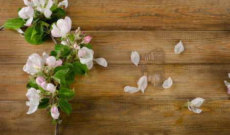 blooming apple twig on a old wooden background. Top viewの写真素材