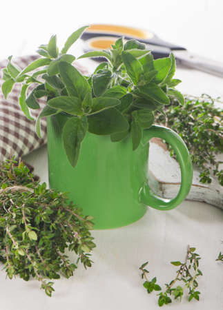 Fresh herbs on  white wooden cutting board. Selective focusの写真素材