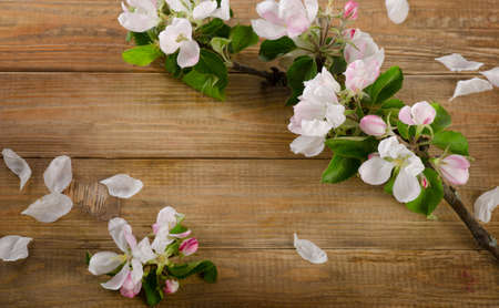 blooming apple twig on a wooden background. Top view