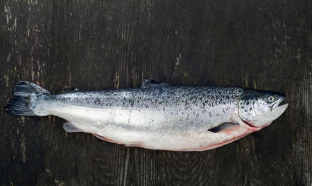Fresh whole salmon on a dark rustic table.  Healthy food  concept.の写真素材