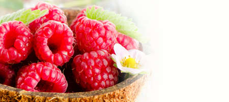 Fresh raspberries  with leaves. Selective focus