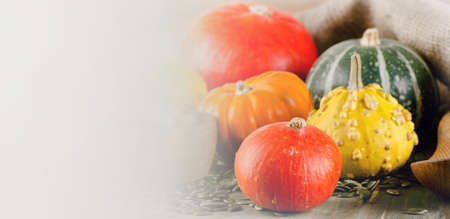Mixed Pumpkins  on a wooden background. Selective focusの写真素材