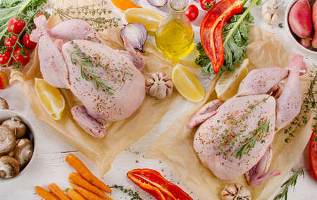 chickenの写真素材