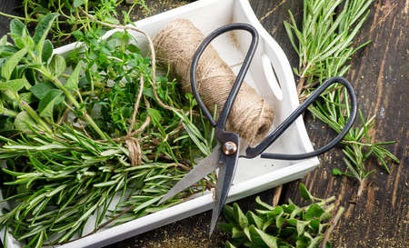 Fresh herbs on wooden table. Top view