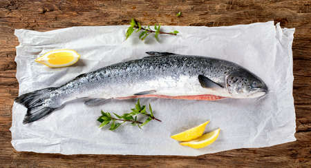 Whole Atlantic salmon. Top view.の写真素材