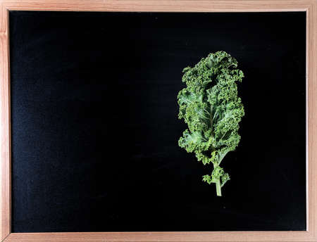 Fresh green kale leaves. Top view. Vegan and vegetarian conceptの写真素材