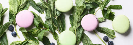 French dessert macarons. Top view.  Panoramaの写真素材