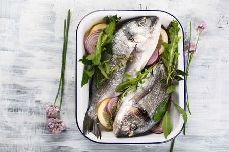 Raw dorado fish or  Sea bream. Heallthy diet eating. Top view 