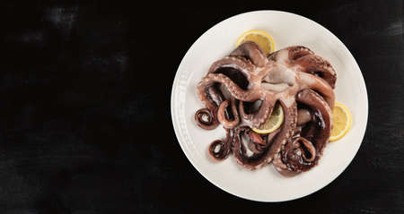 Raw Octopus. Seafood. Top view with copy spaceの写真素材
