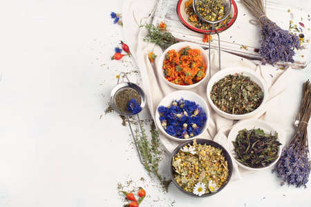 Various herbal tea. Top view.の写真素材