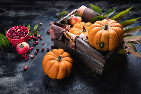 Autumn composition with pumpkins on black background. Autumn, fall, halloween and thanksgiving ...