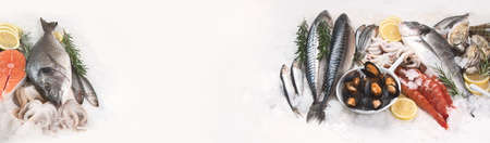 Fresh raw seafood. Healthy diet eating concept. Top view with copy space. Panorama, bannerの写真素材
