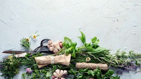 Fresh green garden herbs. Healthy diet eating. top view with copy spaceの写真素材