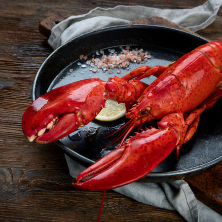 Freshly boiled lobster.の写真素材