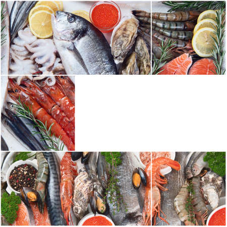 Collage of fresh raw fish and seafood. Healthy diet eating concept.の写真素材