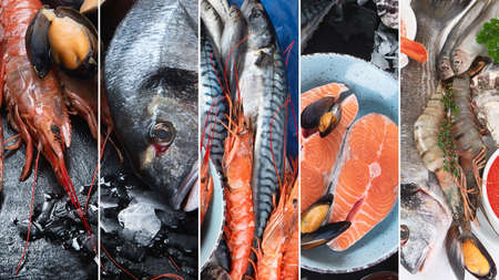 Collage of fresh raw fish and seafood. Healthy diet eating concept.