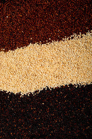 Set with different types of quinoa on dark background. Organic food concept. Top view, copy spaceの写真素材