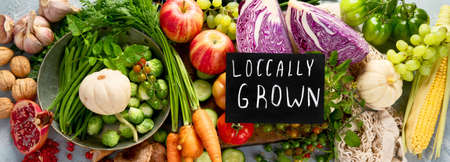 Local farmers food assortment on light background. Organic food concept. Top view, flat layの写真素材