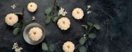 Pumpkin and eucalyptus harvest an black friday composition. Holiday season concept. Top view, flat lay, panoramaの写真素材