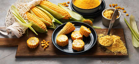 Corncobs and corn groats on gray background. Harvest food concept. panoramaの写真素材