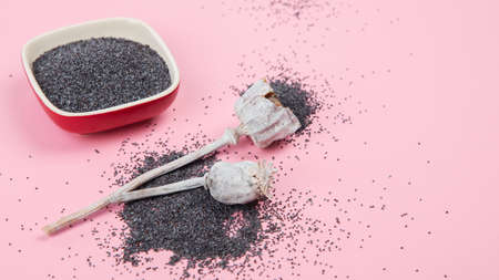 Composition with poppy seeds on pink background. organic food concept.の写真素材