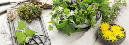 Edible plants and flowers on a light background. Wild herbs as sources of carotenoids.の写真素材