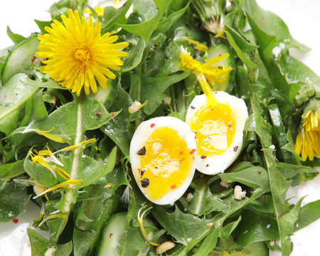 Fresh dandelion salad on light background. Edible plant and nectariferous. top view, flat layの写真素材