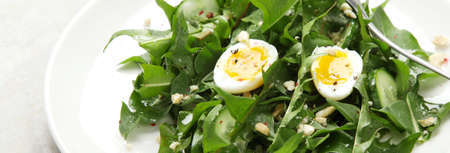 Fresh dandelion salad on light background. Edible plant and nectariferous. panoramaの写真素材