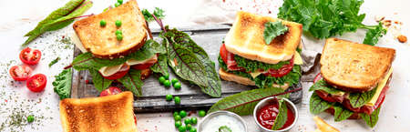 Sandwich with cheese, ham, tomato and fresh salad, made of whole wheat bread with a crispy crust on a wooden board with sauces on a white background, top view, panorama.の写真素材