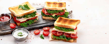 Sandwich with cheese, ham, tomato and fresh salad, made of whole wheat bread with a crispy crust on a wooden board with sauces on a white background, top view, panorama with copy space.の写真素材