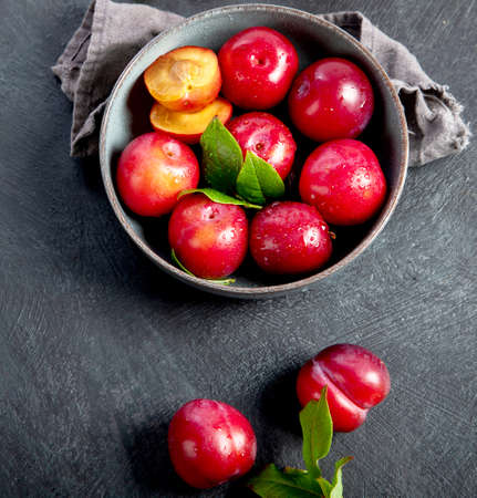 Red plumes isolated on dark background. top view.の写真素材