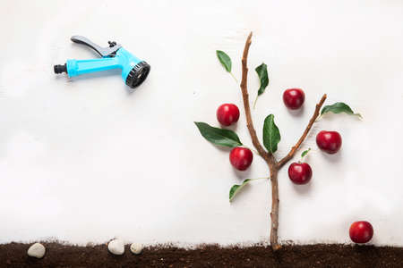 Springtime gardening composition on neutral background. Organic vegetables, fruits and garden tools....