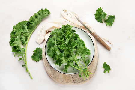 Fresh green curly kale leaves on neutral background. Healthy food ingredients. top view, copy space