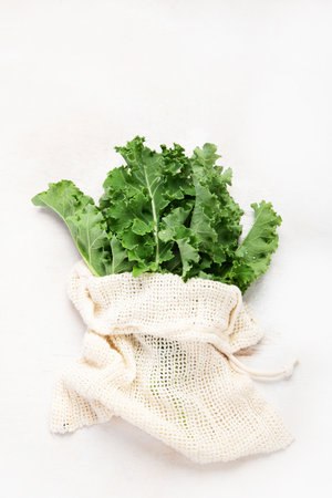 Fresh green curly kale leaves on neutral background. Healthy food ingredients. top view, copy space