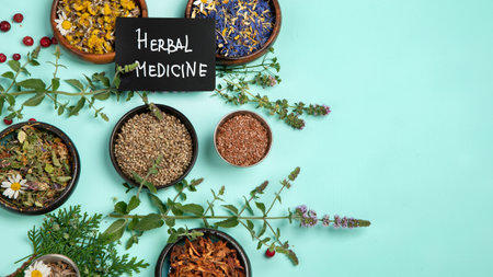 Alternative herbal medicine on green background. Homeopathic flower and herbs remedies. top view, copy spaceの写真素材