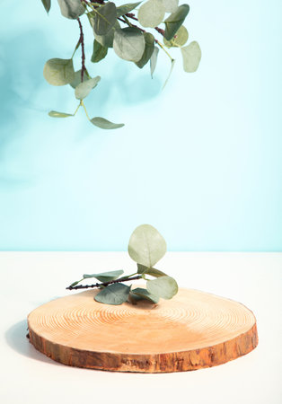 Concept scene stage showcase, product, promotion sale, presentation, beauty cosmetic. Wooden stand studio empty.の写真素材