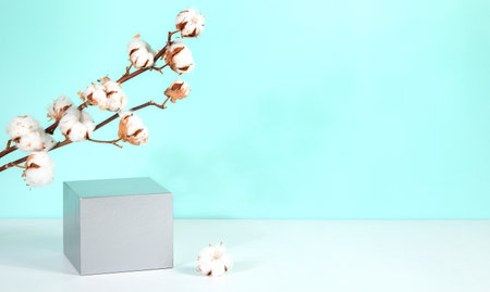 Abstract minimal scene for mockup products, stage showcase, promotion display.の写真素材