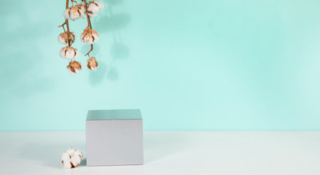 Abstract minimal scene for mockup products, stage showcase, promotion display.の写真素材