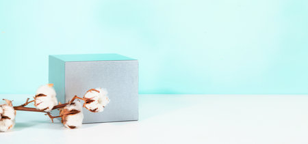 Abstract minimal scene for mockup products, stage showcase, promotion display. panorama.の写真素材