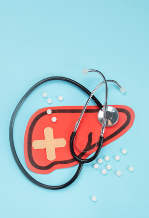 A stethoscope and liver shape made of paper on a white background. Top view. Healthcare and medical concept.の写真素材