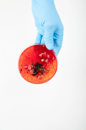 Hand in blue glove holding petri dish with bacterium. Microbiology science. Top view.の写真素材