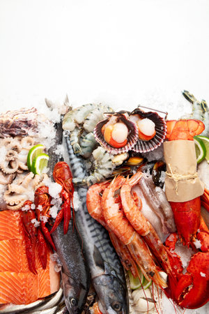 Various seafood and fishes dishes. Healthy food concept on white background, top view. Copy space.の写真素材