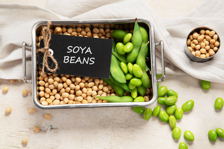 Soybeans on light cotton and wooden background. Vegan food concept. Top viewの写真素材