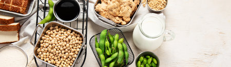 Various soy products with soy bean, tofu, soy sauce and soy milk on a light background. Top view. Panorama with copy space.の写真素材