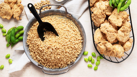 Vegan healthy food. Soy meat with beans on white background. Top viewの写真素材