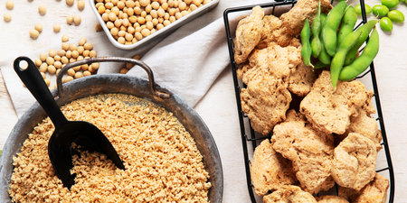 Vegan healthy food. Soy meat with beans on white background. Top viewの写真素材