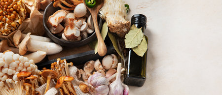 Tasty raw mushrooms collection. Healthy food concept. Top view, copy spaceの写真素材