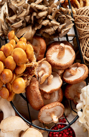 Tasty raw mushrooms collection. Healthy food concept. Top viewの写真素材