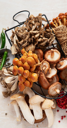 Tasty raw mushrooms collection. Healthy food concept. Top viewの写真素材